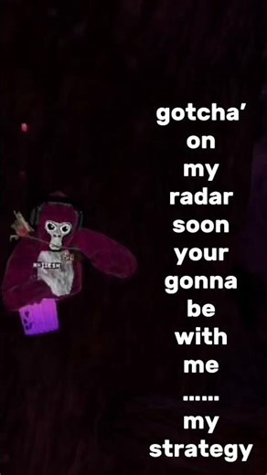i hope this doesn’t get copyrighted 😭😭 #gorillatag #strategy