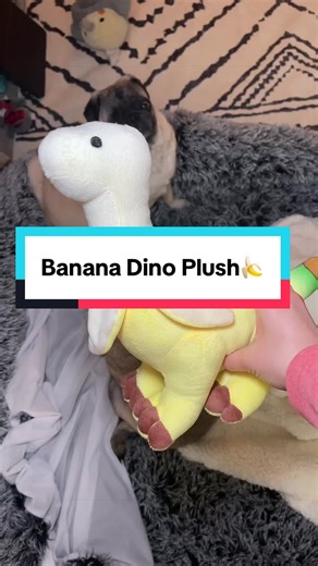 So cute & soft✨🍌 makes a great snuggle buddy✨ #plushies #plushie #dinosaur #cuteplushie #dinosaurs