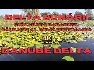 Danube Delta – Romania's Wild Paradise Autumn | Travel to Romania