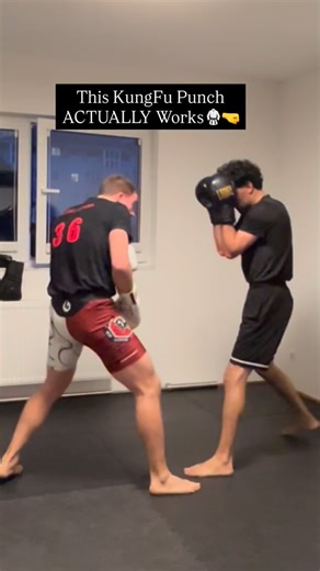 Laurin “KUNGFU KID” Pöschl on Instagram: "Wing Chun Punch 🤛 If you keep your fist vertical, it’s easier to split through the guard 🛡️ Give it a try and follow for more 🤝"