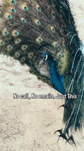 No rush here, just nature doing its work