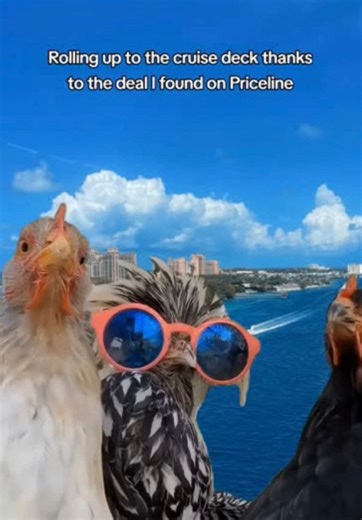Last Chance for Big Deal Cruise Days!