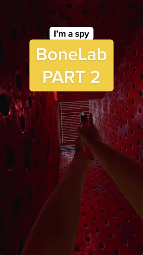 Exploring BoneLab: A Virtual Reality Adventure