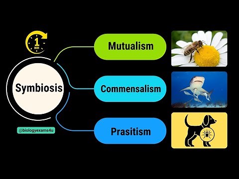 Symbiosis and its Types || Difference between Mutualism, Commensalism and Parasitism