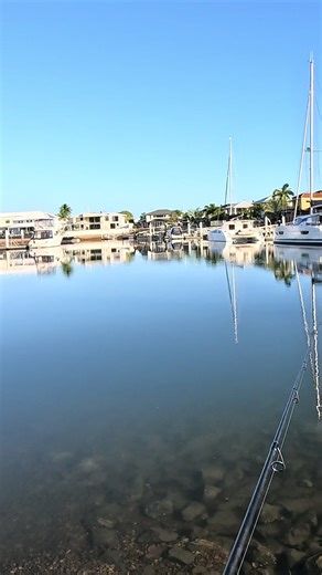 Tough Fishing Days in Brisbane: Grunter and Trevally
