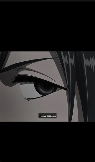 فحلي ولله ولله😪🤘🏻!fypシ゚ # #attackontitan #mikasa #fyppppppppppppppppppppppp #team_visuol🦅