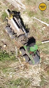 4K views · 61 reactions | This is the rarest wood on earth #explore #explorepage #viralreels #education #knowledge #research | Amazing Facts | Facebook