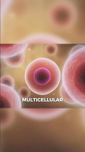 The Fine Line Between a Microbial Mat and Multicellular Life