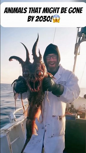 The Fight to Save These Incredible Animals