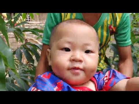 “Simple life: Mother and 3 children harvest corn to help the family”