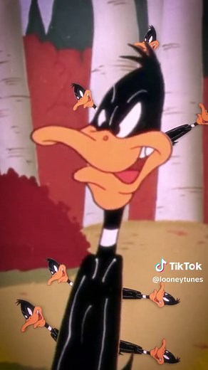 Looney Tunes: Rabbit Season vs. Duck Season Explained