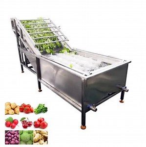 [Hot Item] Industrial Dates Processing Machine Price Jujube Palm Dates Washing Machine Washer Dry Fresh Dates Cleaning Machine