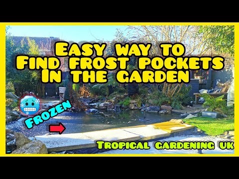 My Simple Method For Finding Frost Pockets In Your Garden 🤔🥶 It Could Make All The difference!