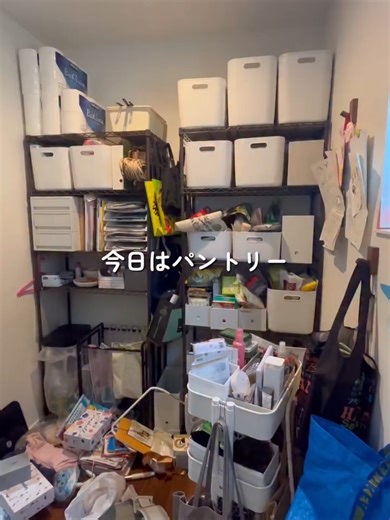 パントリー全出しの挑戦と収納術