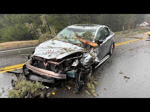 CRESTLINE: Tree Collapses, Trapping Four