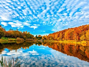 Leaf Colors At Peak Across Most Of Virginia: Fall Foliage Report