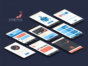 Stretch-Voice-Assisted-Physiotherapy