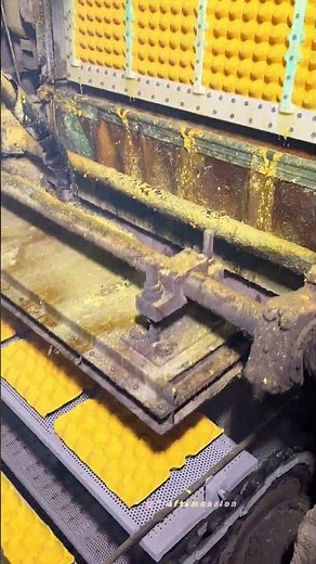 Automated High-Speed Production of Recycled Paper Egg Cartons