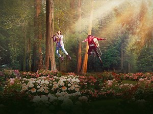 Watch The Sky Is Everywhere - Apple TV⁠