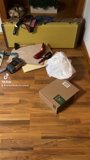 Beaver Damming Behavior: Understanding Beav's Habits