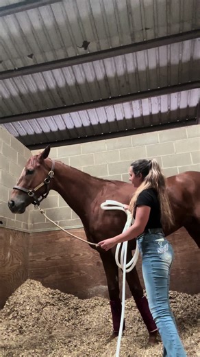 From Fear to Love: My PEMF Treatment Journey