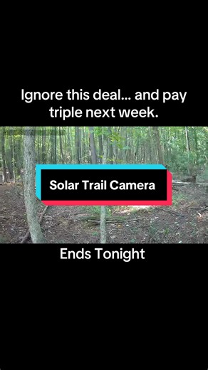 Solar Trail Camera for deer hunting #tiktokshopblackfriday #trailcam #trailcamera #huntingseason #deerhunting #huntingtiktok