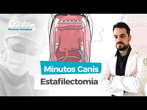 Estafilectomia - Minutos Canis - Técnicas Cirúrgicas