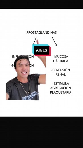 Todo sobre AINES: Mecanismo y Efectos Adversos