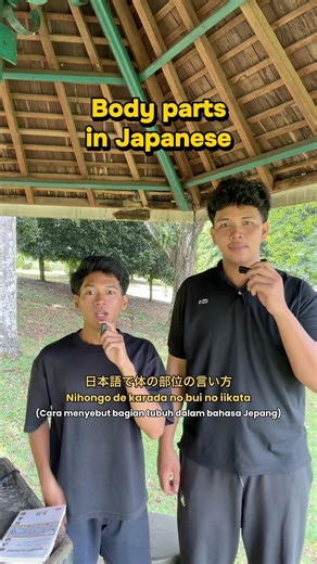 Body parts in Japanese #learnjapanese