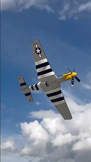 P51 Mustang Dives and Pops Back Up - A Really Loud and Legendary Lowpass