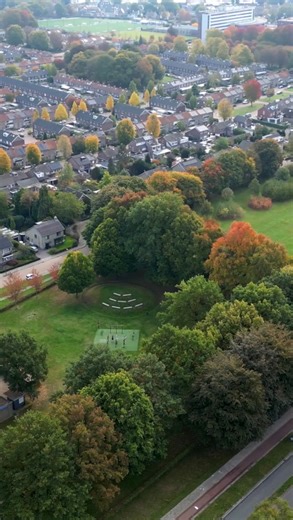 Gemeente Veldhoven on Instagram: "🌳 We verbeteren het bomenbestand in Veldhoven 🌳 In februari starten de jaarlijkse werkzaamheden voor het onderhoud van onze bomen. Uit onze controle blijkt dat er bomen zijn afgestorven, ziek of niet veilig zijn voor de omgeving. Deze bomen worden verwijderd. Ook gaan we bomen snoeien en nieuwe bomen aanplanten. Het snoeien van de bomen is in de wijken Veldhoven-Dorp, Zonderwijk, Meerveldhoven en Zeelst. We snoeien, verwijderen en herplanten altijd op een zorg