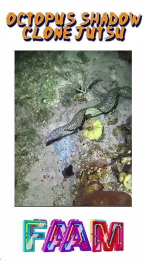 Shadow Clone Jutsu 😲 #status #explore #viralshorts #viral