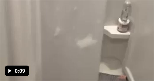 Cat came in like a wrecking ball - Video