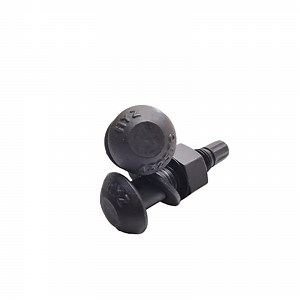 [Hot Item] ASTM F1852 A325 Type 1 Tension Control Structural Bolt with Black