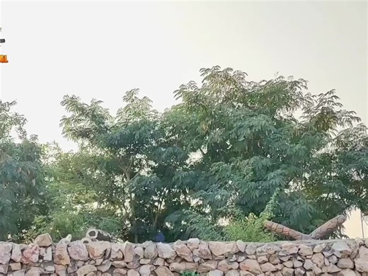 Sindhi Comedy Moments to Brighten Your Day