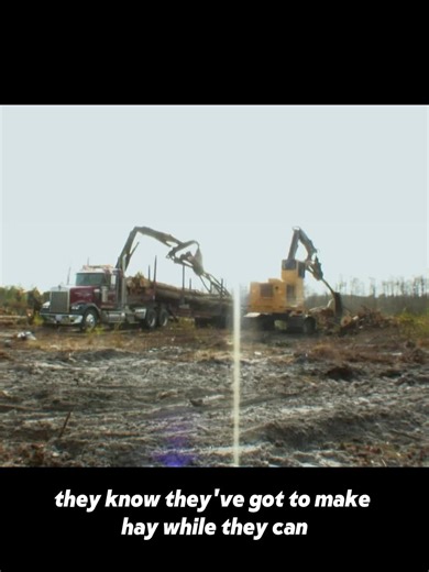 Exploring Heavy Machinery in Logging Adventures