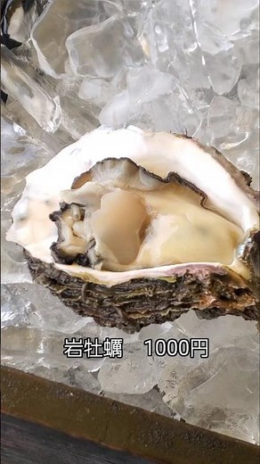 Lined up just to eat oysters!! [Yamasa Suisan] "Nakaminato Fish Market, Seafood, Market, Ibaraki ...