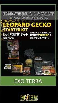 【はじめてのレオパ飼育にも】充実のセット内容でレオパが快適な環境を作る。「EXO-TERRA LAYOUT vol.2 レオパ飼育キットGTP3030」