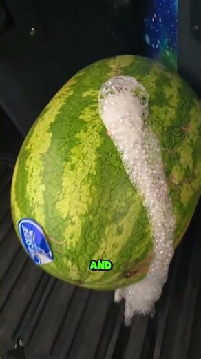 This Watermelon Started Bubbling on Its Own