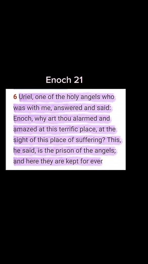 vanityofvanities1 on TikTok