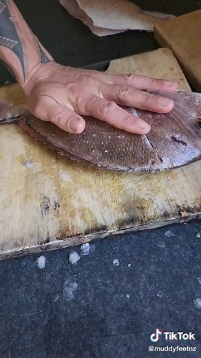 Filleting Snapper #fishfilleting #cooking #snappers #catchandcook #fishtok #howto #knife #knifeskills