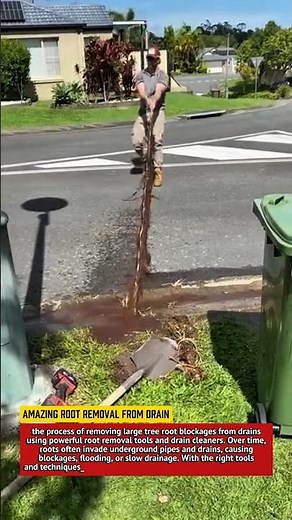 Amazing Root Removal from Drain | Powerful Drain Cleaning Tool | Plumbing Hacks.