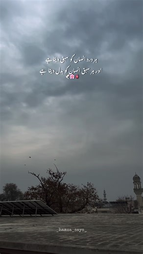 Chamge human🥹🥀.. #lines💔 #weatheringwithyou #weather #hamzasays #poetrystatus