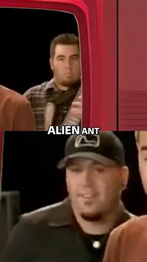 Elder Emo Chronicles on Instagram: "Alien Ant Farm bridged pop-punk & nu-metal, blowing up with Smooth Criminal. A tragic crash halted their rise, but they're still releasing music! #AlienAntFarm #PopPunk #NuMetal #SmoothCriminal #MusicHistory #RockMusic #MusicFacts"