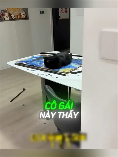 Con mèo đã giúp cô chủ tìm được quỹ đen của chồng #boss #thucung #animals#fyp #xuhuong