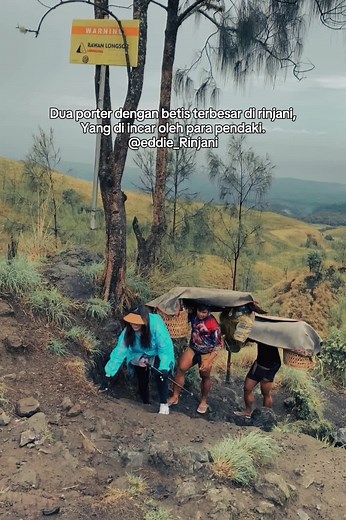 let's hiking Mount Rinjani #rinjani #rinjanimountain #rinjani3726mdpl♥ #fypシ #explore #hiking #adventure #porter #mountain #pendaki #pendakigunung #pendakiindonesia #pendakicantik #trip #tour #tourism #trevel #volcano #gym