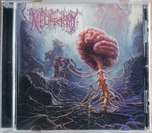 Neurectomy - Overwrought