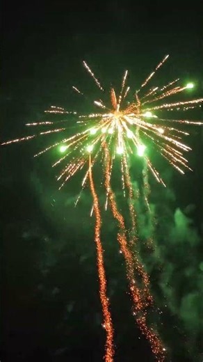 Riakeo Gracefulness #fireworks #feuerwerk #pyro #pyrotechnik #independenceday