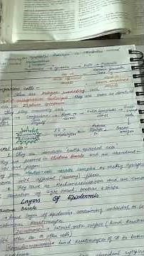 Melanocytes, Langerhans cells | Integumentary system part 2 | Histology
