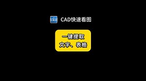 一秒提取文字、表格